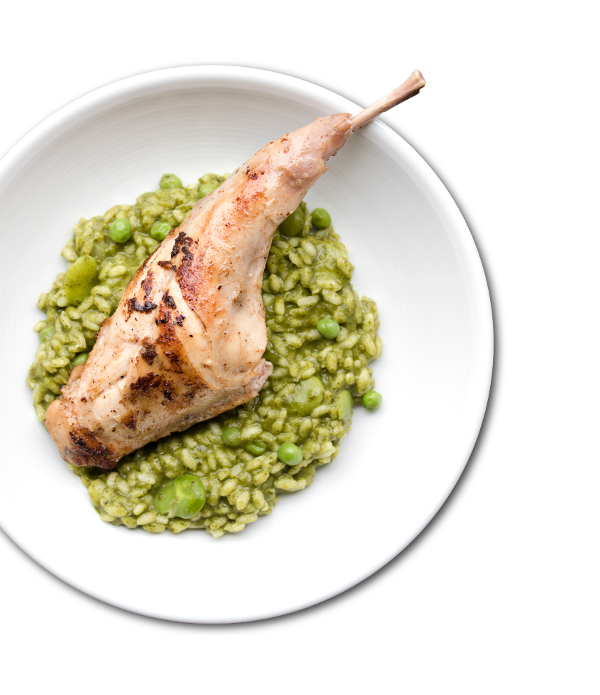Plated Green Risotto Rabbit