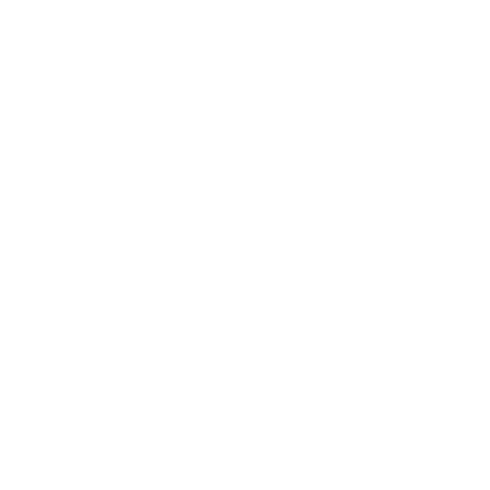 white rabbit icon